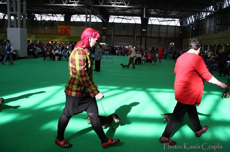 Crufts2011_2 844.jpg